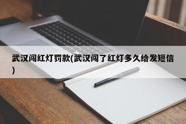 武汉闯红灯罚款(武汉闯了红灯多久给发短信)