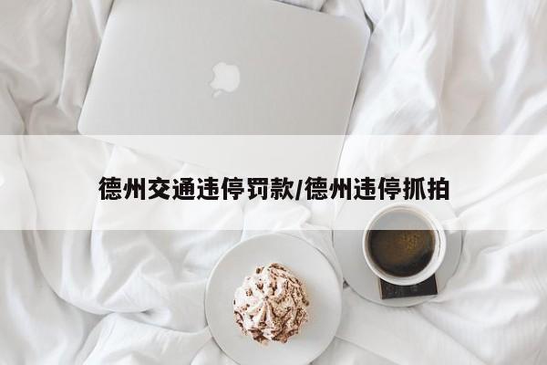 德州交通违停罚款/德州违停抓拍