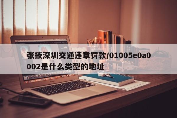 张掖深圳交通违章罚款/01005e0a0002是什么类型的地址