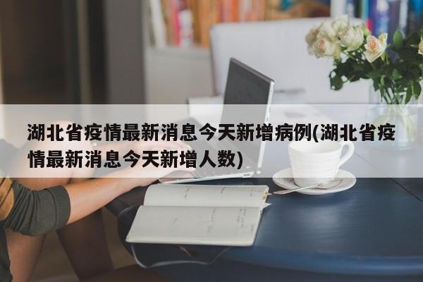 湖北省疫情最新消息今天新增病例(湖北省疫情最新消息今天新增人数)
